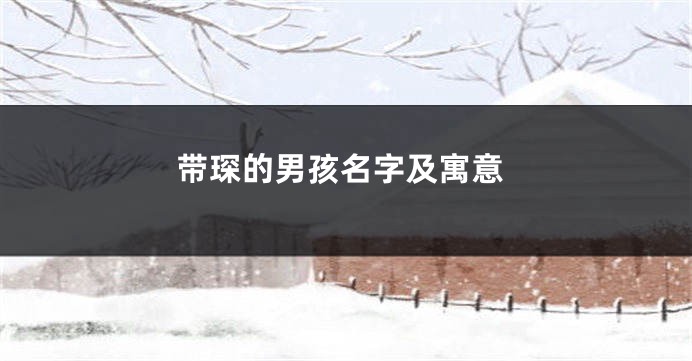 带琛的男孩名字及寓意