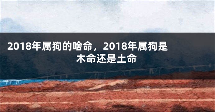 2018年属狗的啥命，2018年属狗是木命还是土命