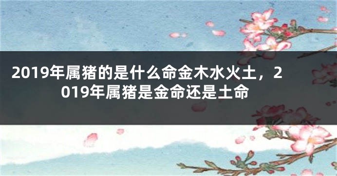 2019年属猪的是什么命金木水火土，2019年属猪是金命还是土命