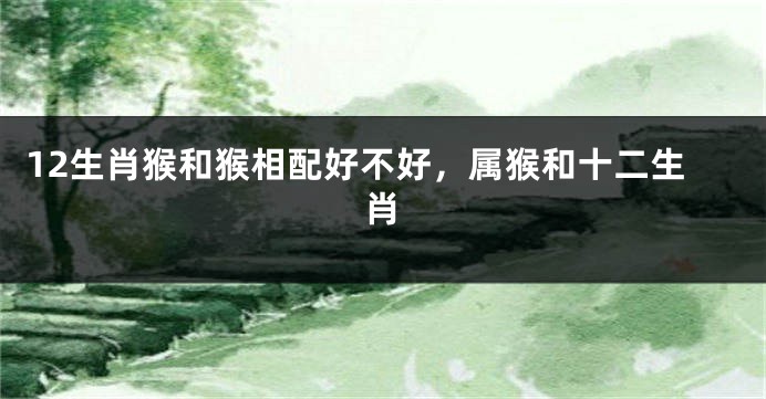 12生肖猴和猴相配好不好，属猴和十二生肖