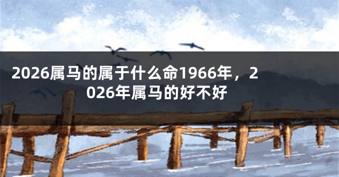 2026属马的属于什么命1966年,2026年属马的好不好