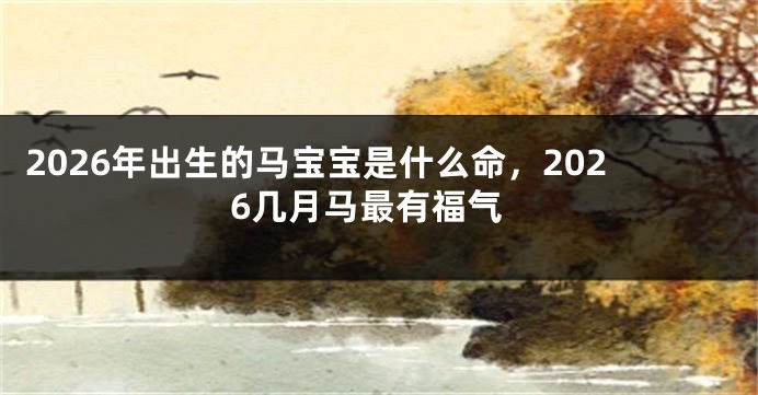 2026年出生的马宝宝是什么命,2026几月马最有福气