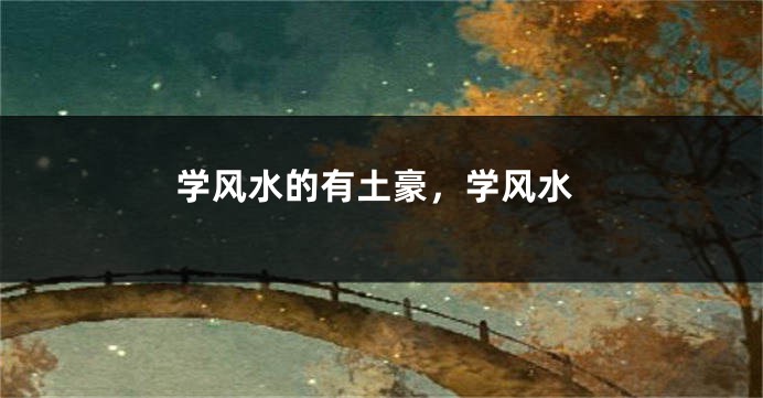 学风水的有土豪，学风水
