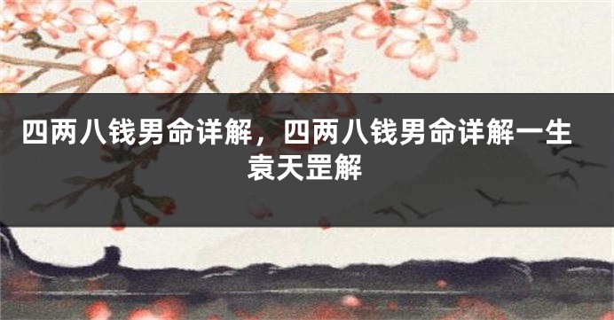四两八钱男命详解，四两八钱男命详解一生袁天罡解