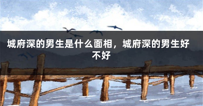 城府深的男生是什么面相,城府深的男生好不好
