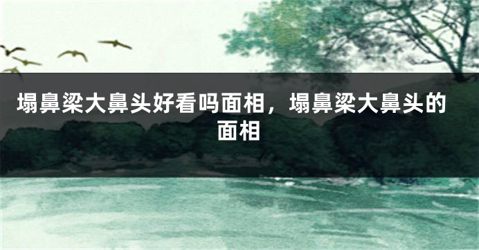 塌鼻梁大鼻头好看吗面相，塌鼻梁大鼻头的面相