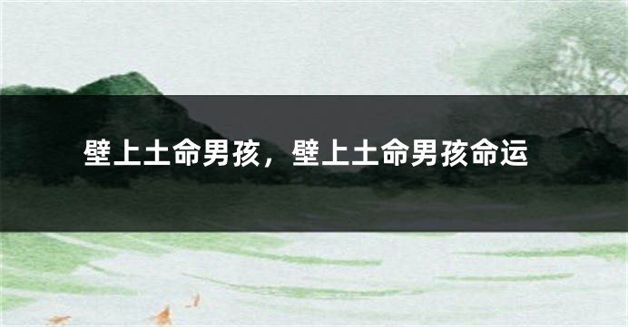 壁上土命男孩，壁上土命男孩命运
