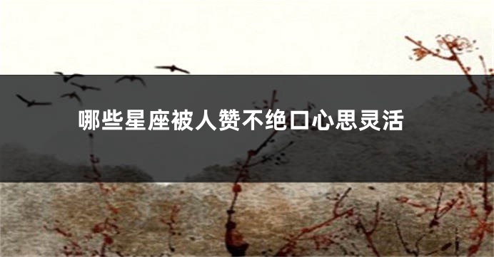 哪些星座被人赞不绝口心思灵活