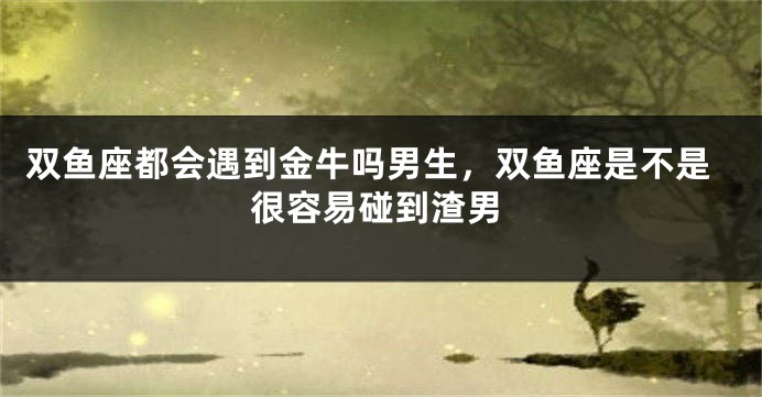 双鱼座都会遇到金牛吗男生,双鱼座是不是很容易碰到渣男