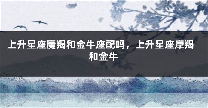 上升星座魔羯和金牛座配吗，上升星座摩羯和金牛