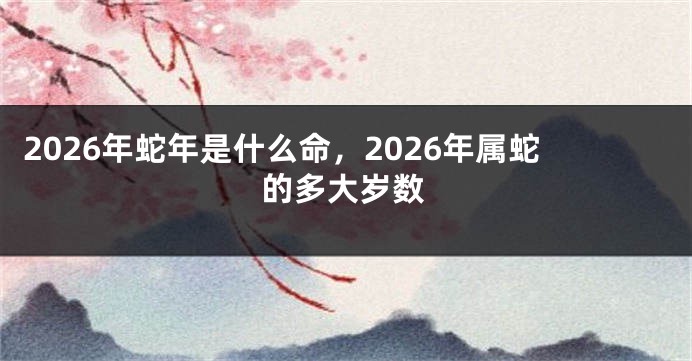 2026年蛇年是什么命，2026年属蛇的多大岁数