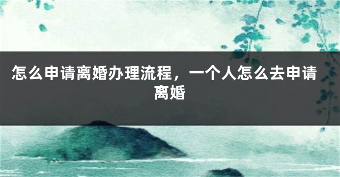 怎么申请离婚办理流程，一个人怎么去申请离婚