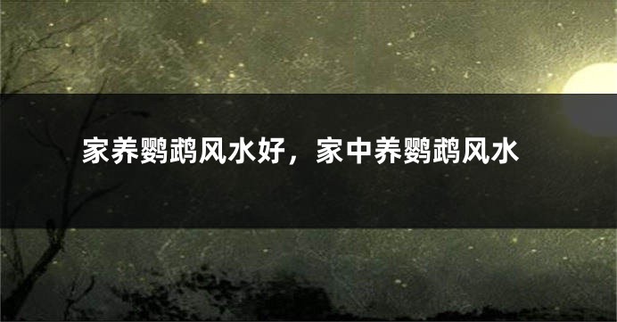 家养鹦鹉风水好，家中养鹦鹉风水