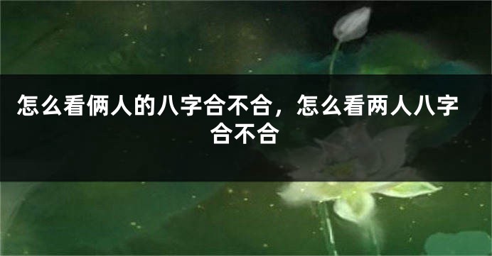 怎么看俩人的八字合不合，怎么看两人八字合不合