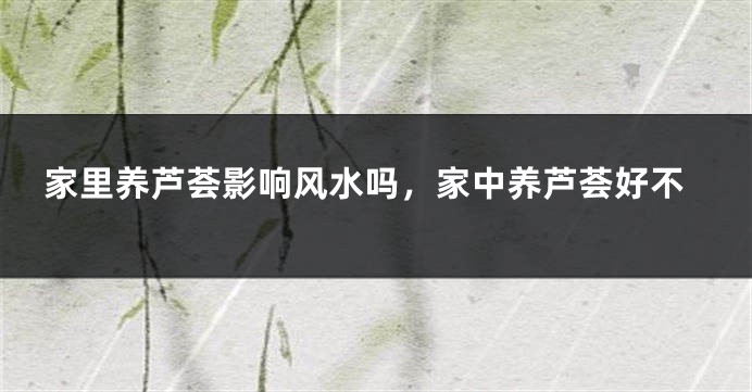 家里养芦荟影响风水吗,家中养芦荟好不