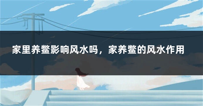 家里养鳖影响风水吗,家养鳖的风水作用