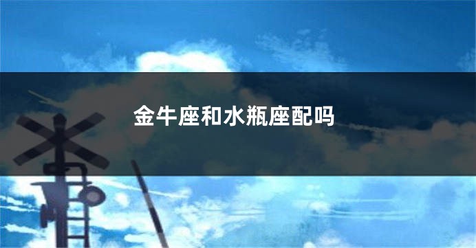 金牛座和水瓶座配吗