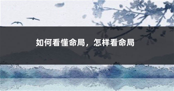 如何看懂命局,怎样看命局