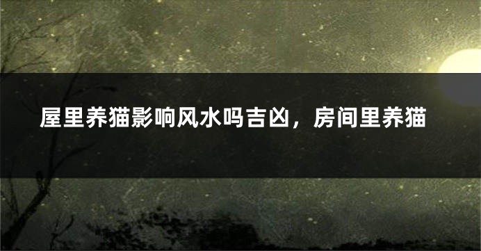 屋里养猫影响风水吗吉凶，房间里养猫