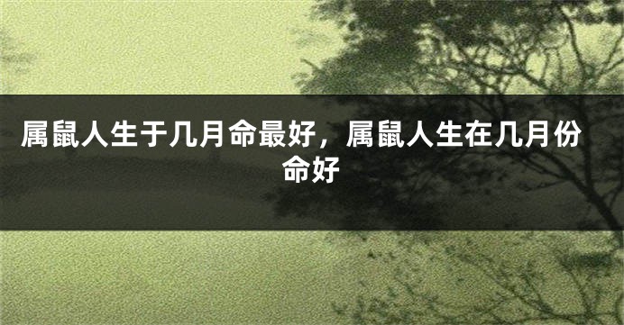 属鼠人生于几月命最好,属鼠人生在几月份命好