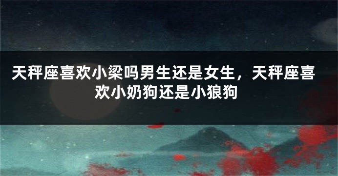 天秤座喜欢小梁吗男生还是女生,天秤座喜欢小奶狗还是小狼狗