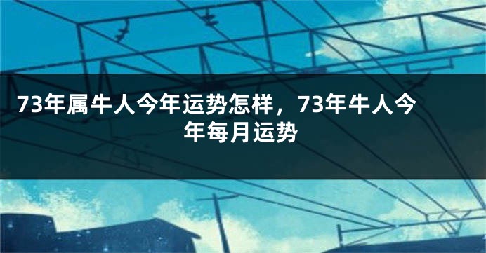 73年属牛人今年运势怎样，73年牛人今年每月运势