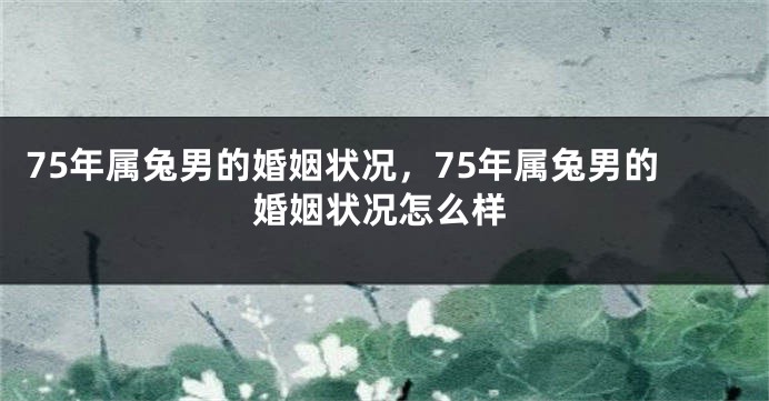 75年属兔男的婚姻状况,75年属兔男的婚姻状况怎么样