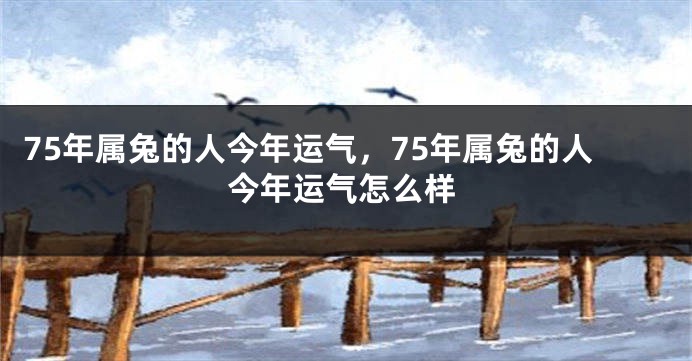 75年属兔的人今年运气,75年属兔的人今年运气怎么样