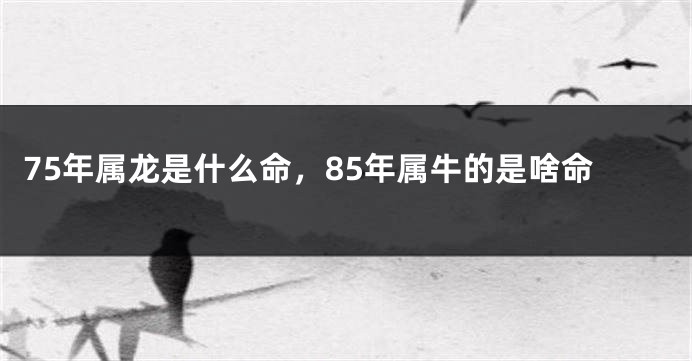 75年属龙是什么命，85年属牛的是啥命