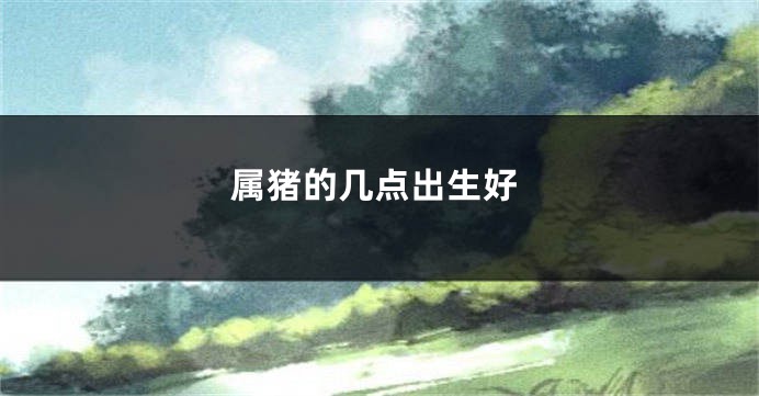 属猪的几点出生好
