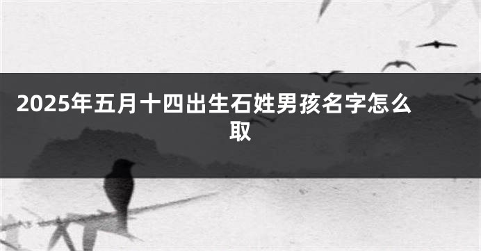 2025年五月十四出生石姓男孩名字怎么取