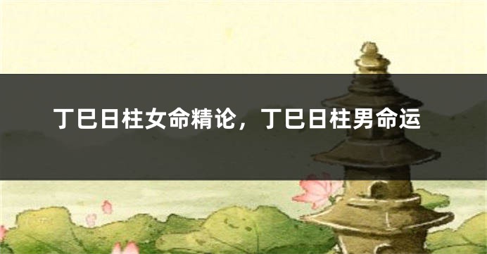 丁巳日柱女命精论,丁巳日柱男命运