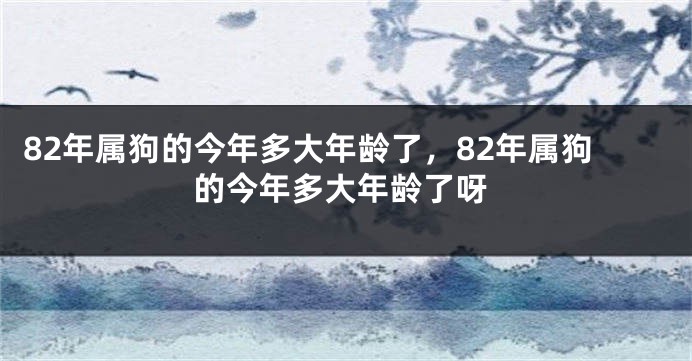 82年属狗的今年多大年龄了,82年属狗的今年多大年龄了呀
