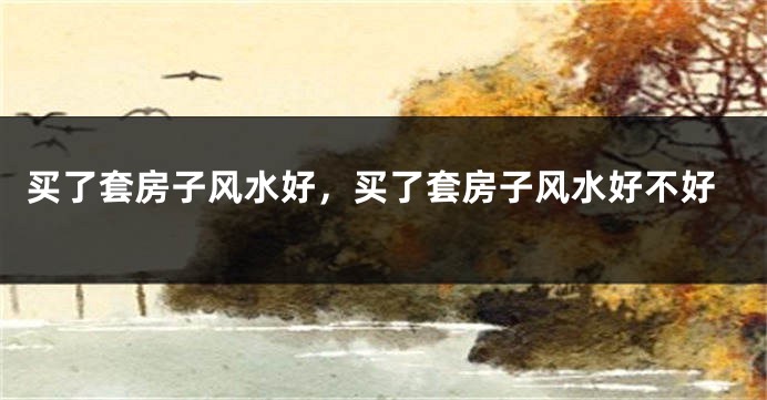 买了套房子风水好,买了套房子风水好不好
