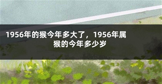1956年的猴今年多大了，1956年属猴的今年多少岁