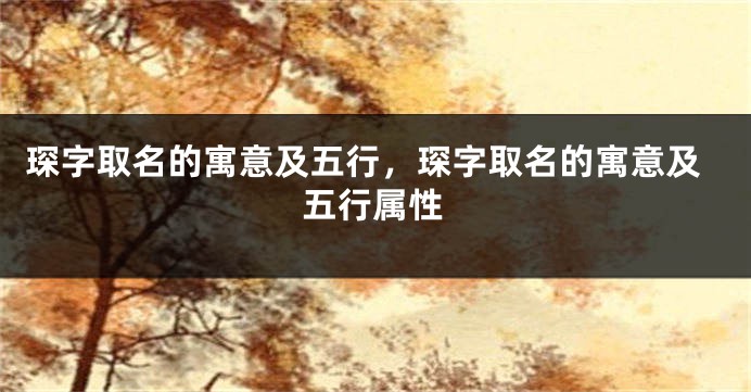 琛字取名的寓意及五行，琛字取名的寓意及五行属性