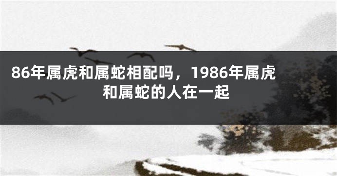 86年属虎和属蛇相配吗，1986年属虎和属蛇的人在一起