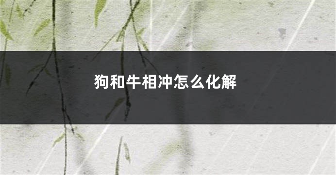 狗和牛相冲怎么化解