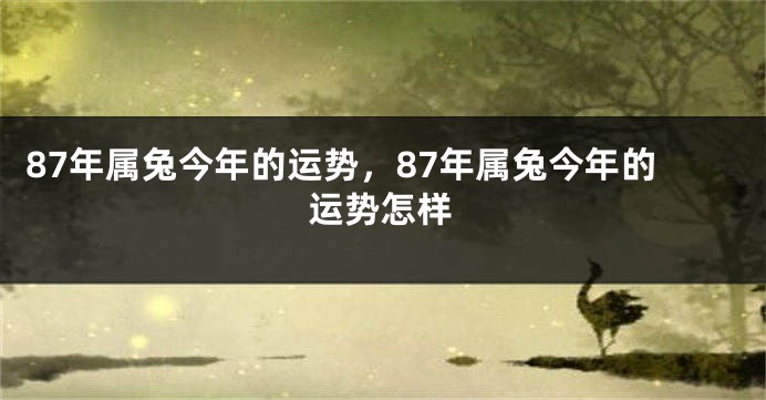 87年属兔今年的运势，87年属兔今年的运势怎样