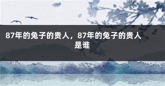 87年的兔子的贵人，87年的兔子的贵人是谁
