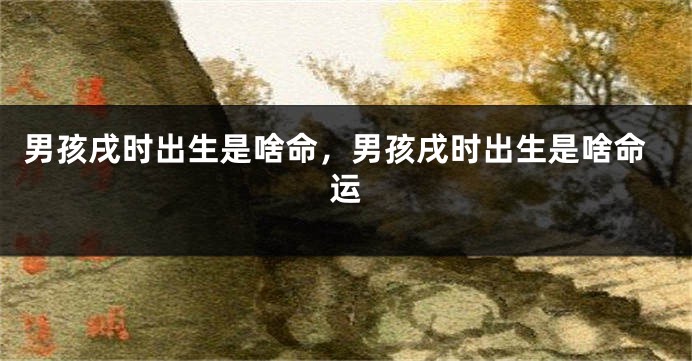男孩戌时出生是啥命，男孩戌时出生是啥命运