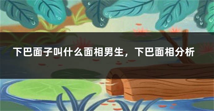 下巴面子叫什么面相男生,下巴面相分析