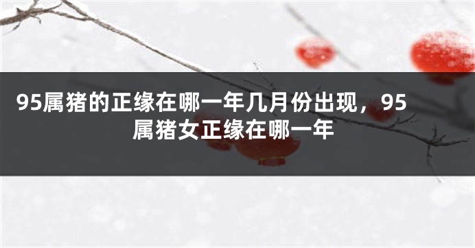 95属猪的正缘在哪一年几月份出现,95属猪女正缘在哪一年