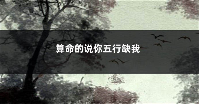 算命的说你五行缺我