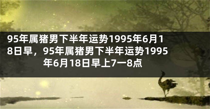 95年属猪男下半年运势1995年6月18日早，95年属猪男下半年运势1995年6月18日早上7一8点