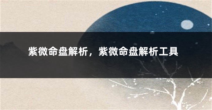 紫微命盘解析，紫微命盘解析工具