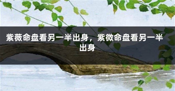 紫薇命盘看另一半出身，紫微命盘看另一半出身