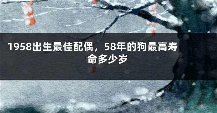 1958出生最佳配偶,58年的狗最高寿命多少岁