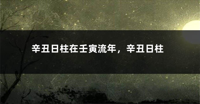辛丑日柱在壬寅流年，辛丑日柱