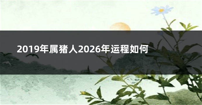 2019年属猪人2026年运程如何
